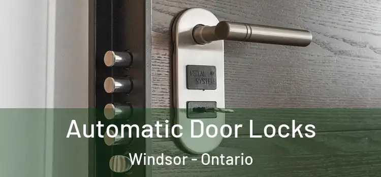 Automatic Door Locks Windsor - Ontario