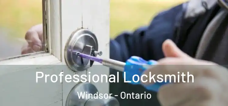 Professional Locksmith Windsor - Ontario
